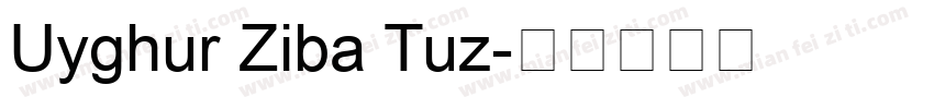 Uyghur Ziba Tuz字体转换